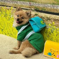 画像10410