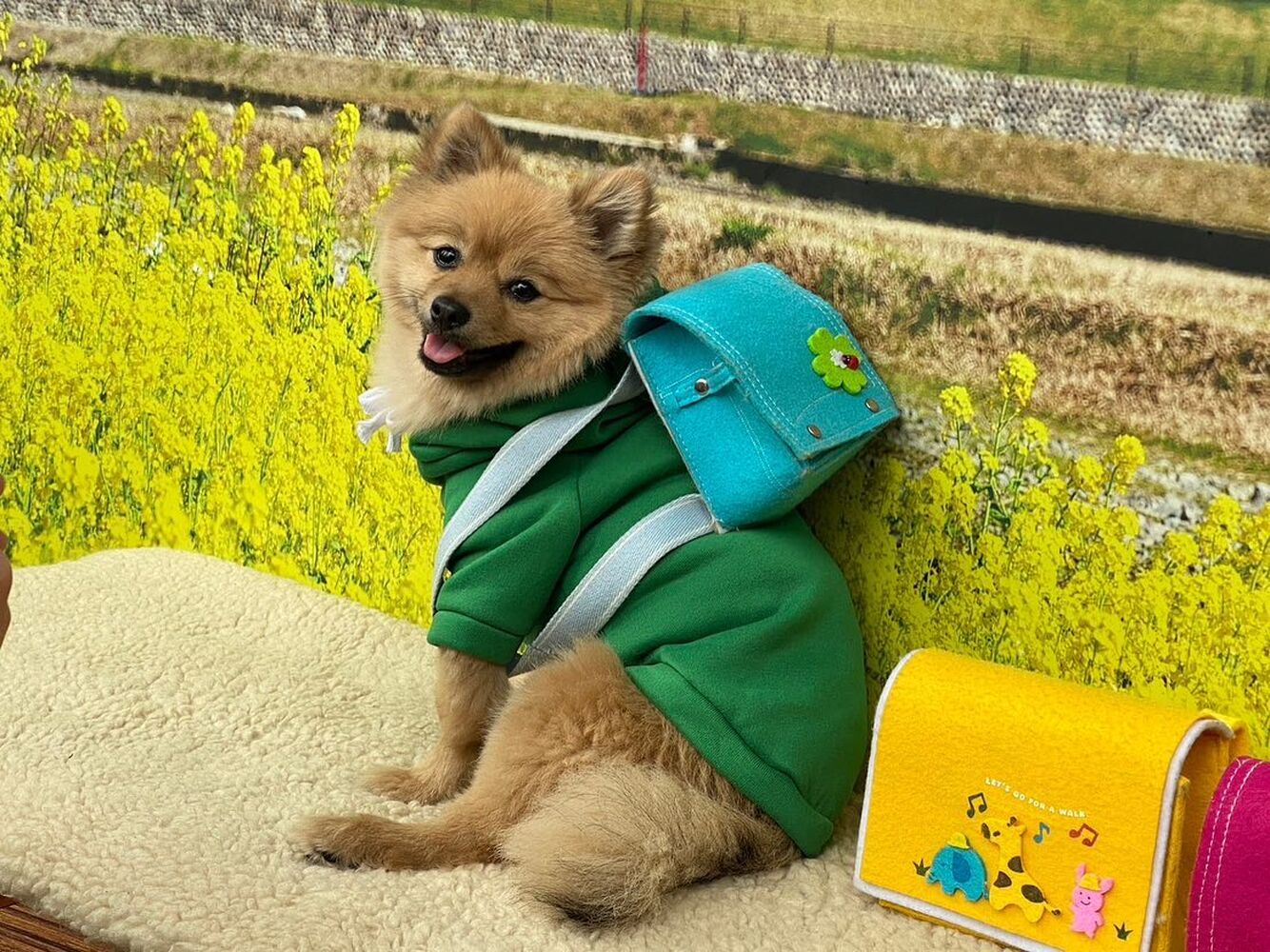 画像10410