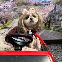 画像10592