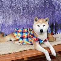 画像10693