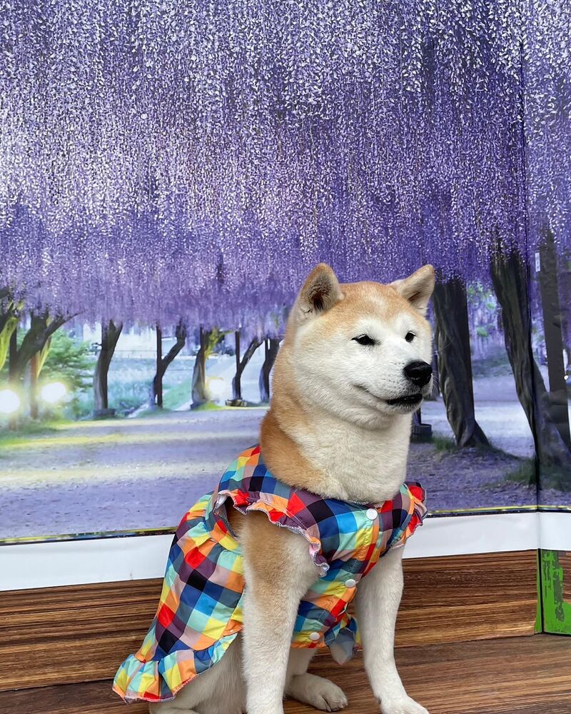 画像10697
