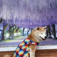 画像10698