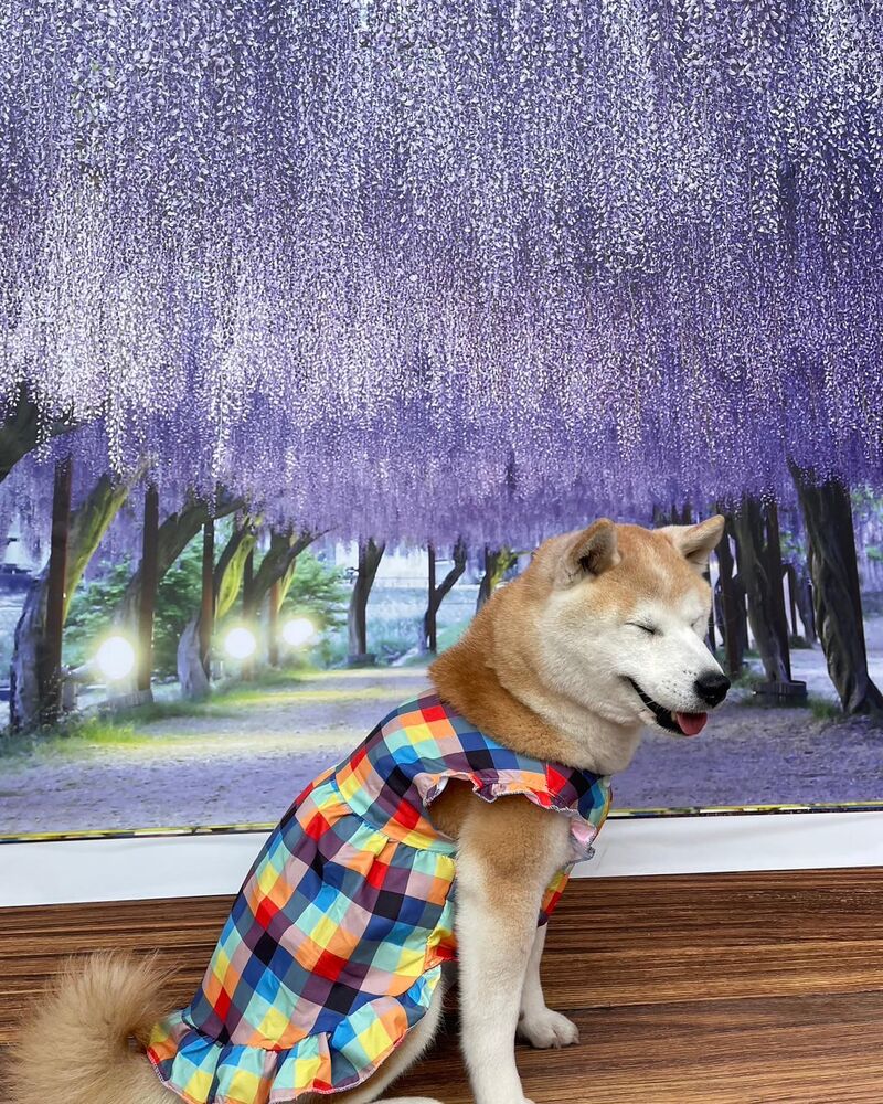 画像10698