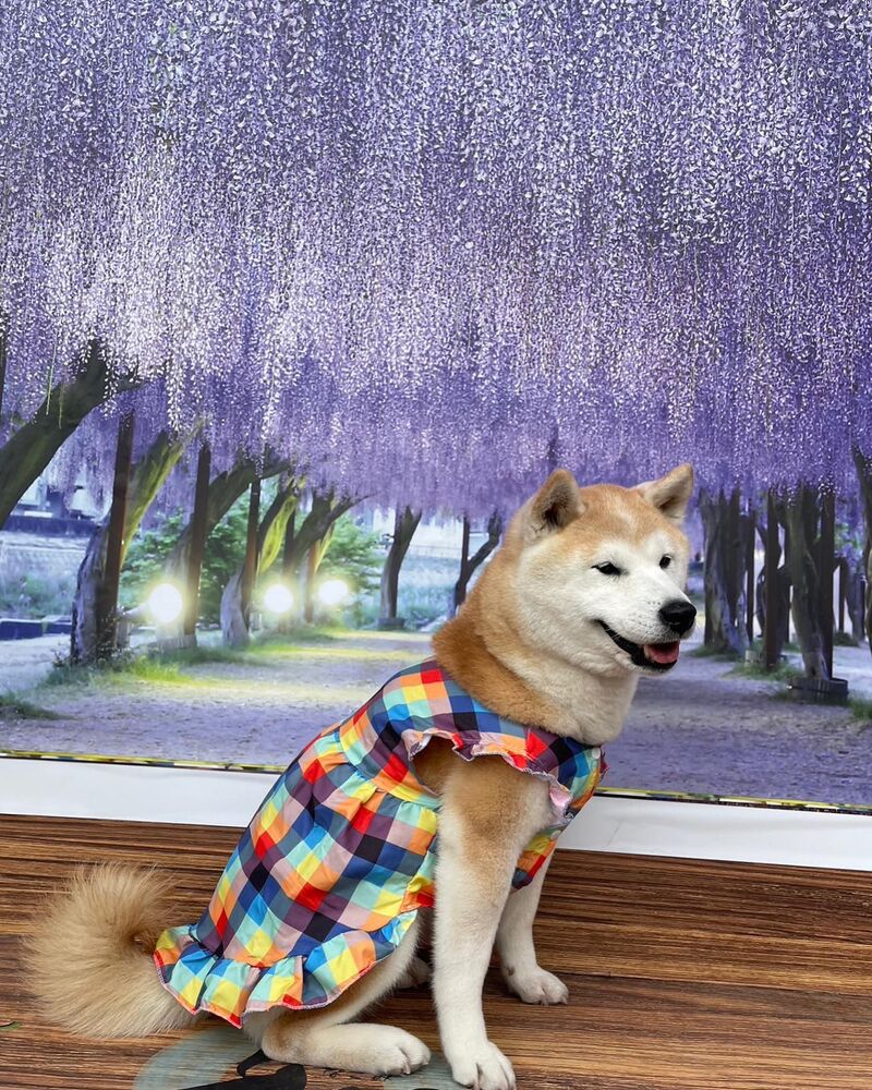 画像10699