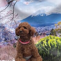 画像10740