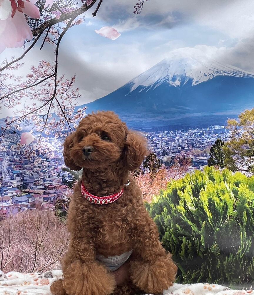 画像10740