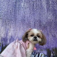画像10775