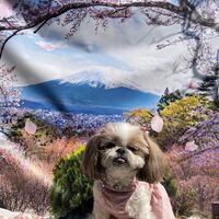 画像10777