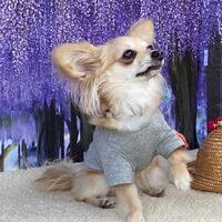 画像10828