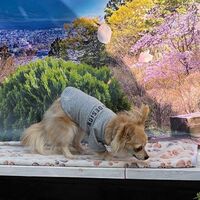 画像10834