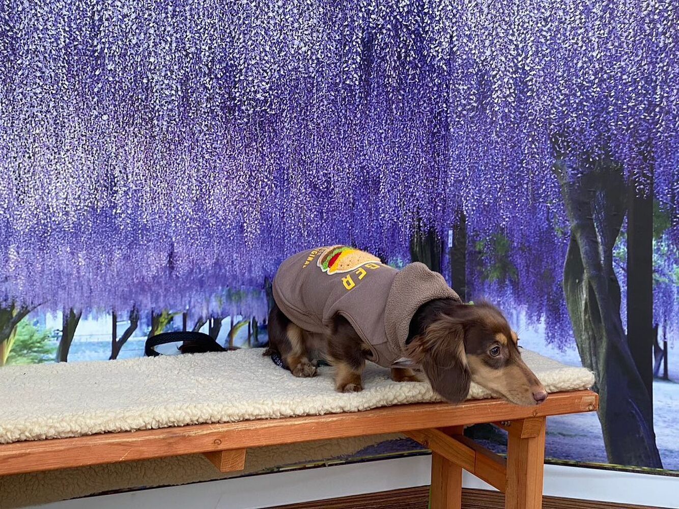 画像10840
