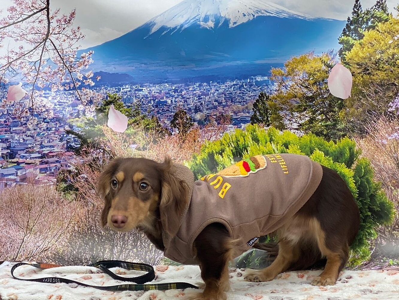 画像10841