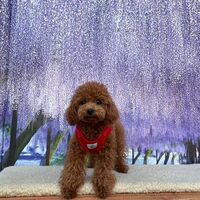 画像10859