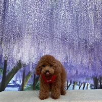 画像10860