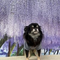 画像10920
