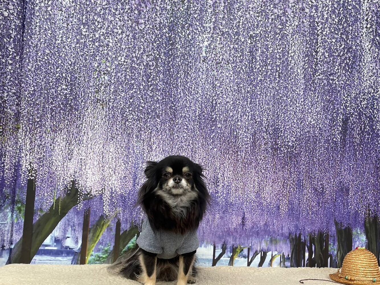 画像10922