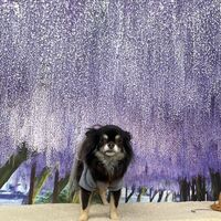 画像10923