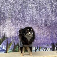 画像10924