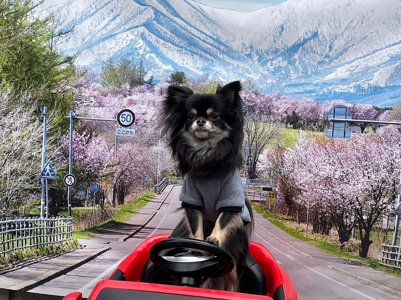 画像10927
