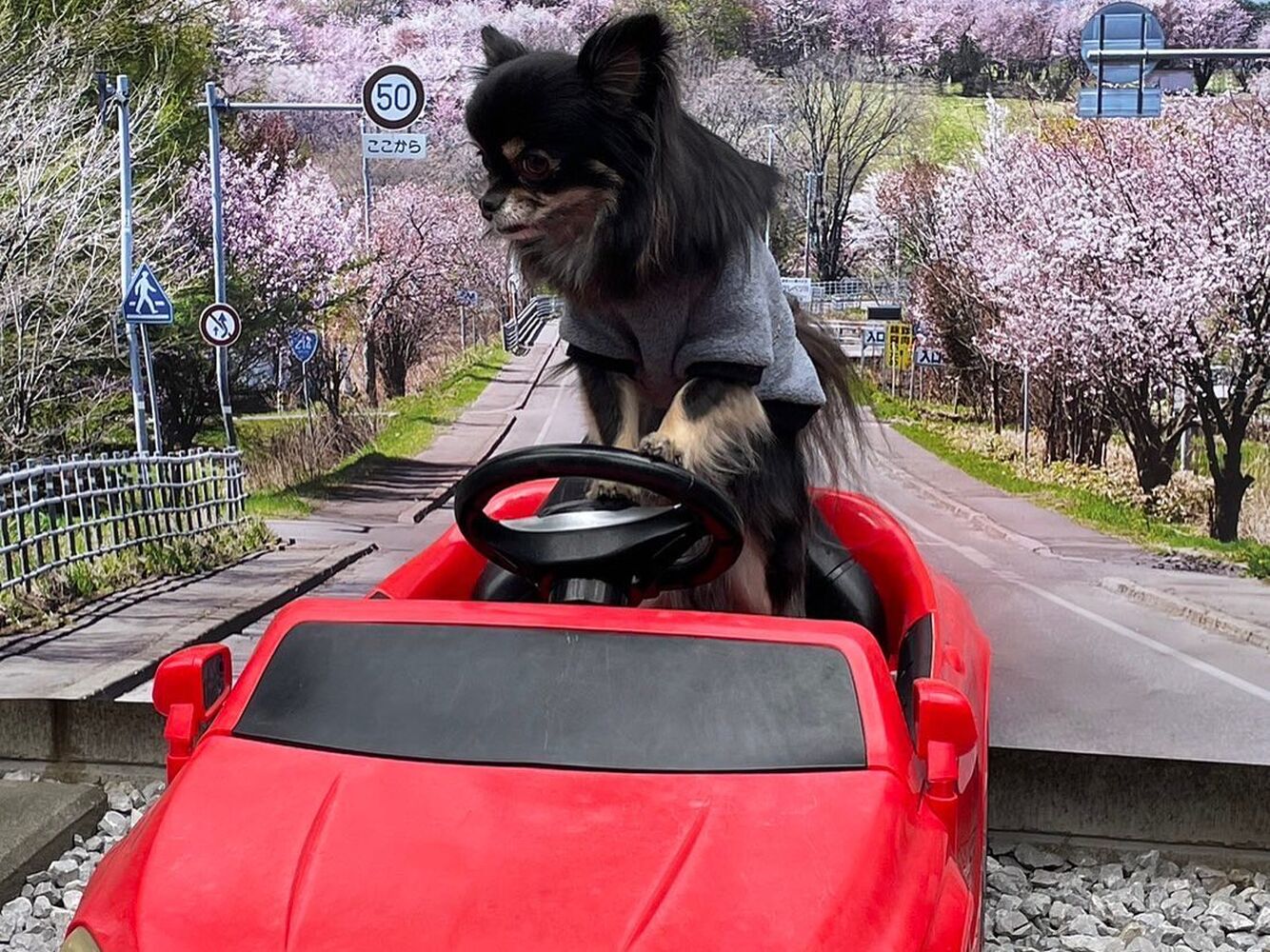 画像10928