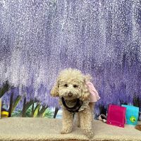 画像10940
