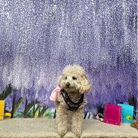画像10942