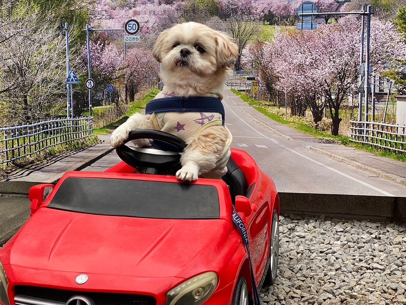 画像10973
