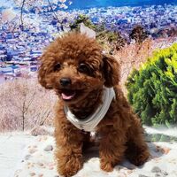 画像11012