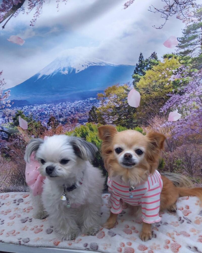画像11049