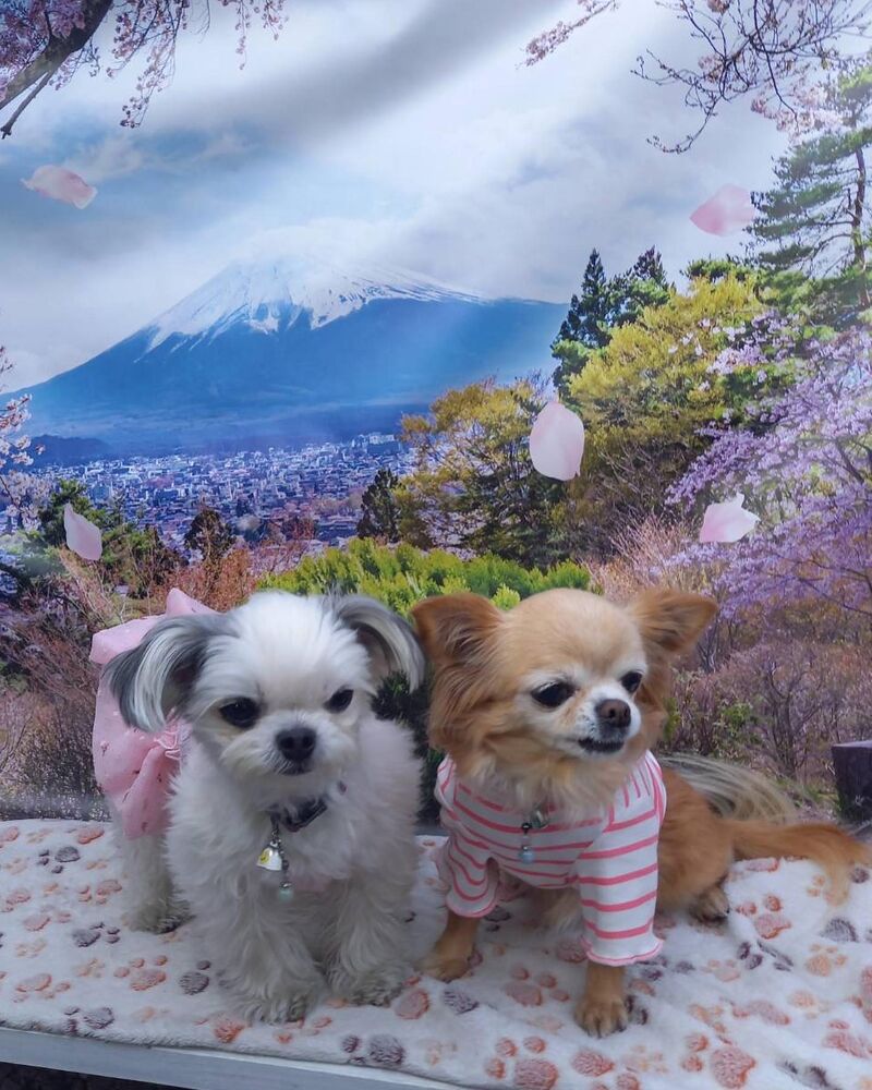 画像11050