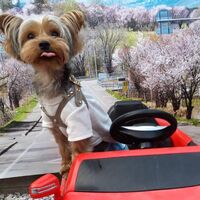 画像11058
