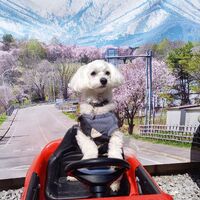 画像11100