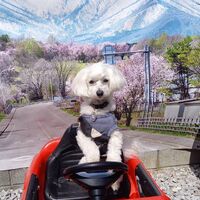 画像11101