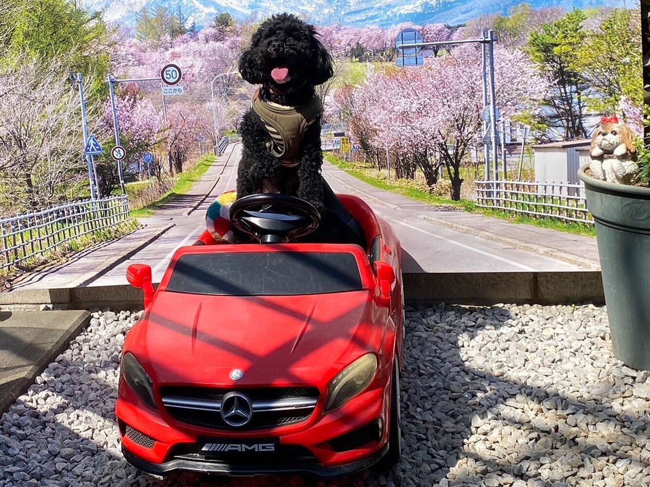 画像11113