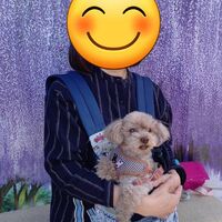 画像11128