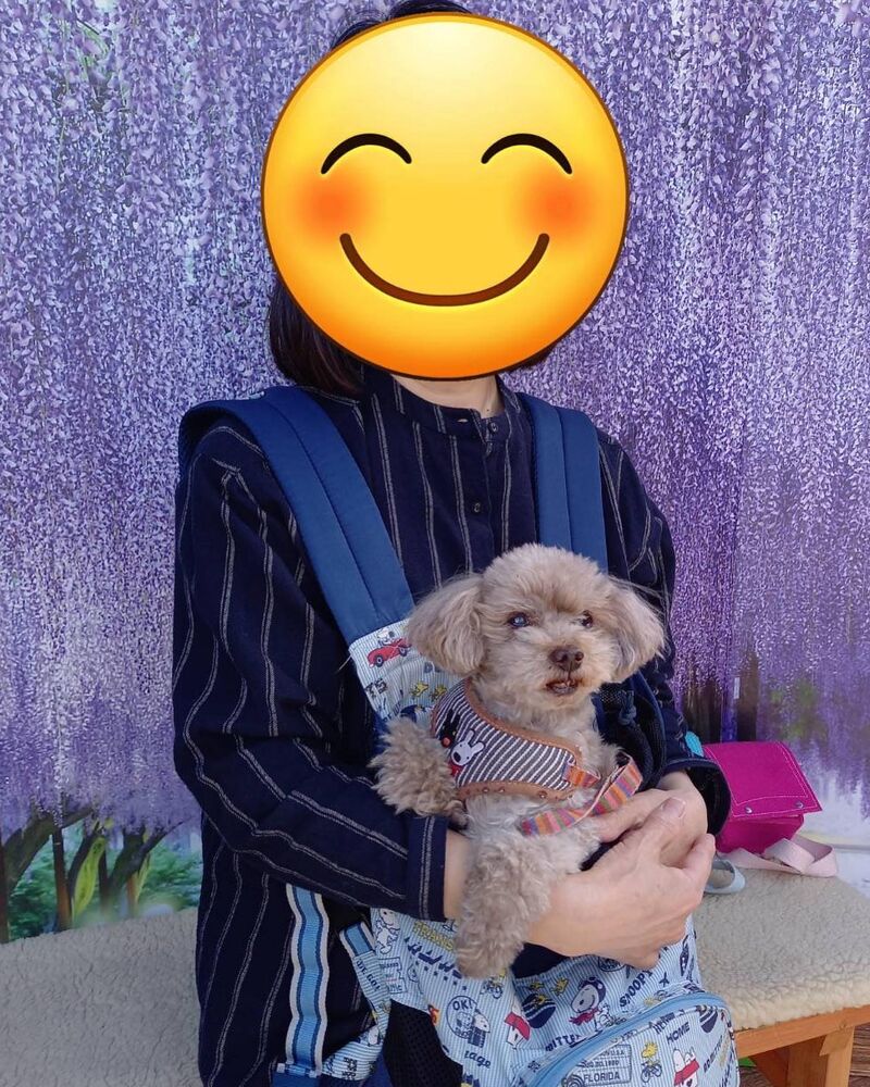 画像11128