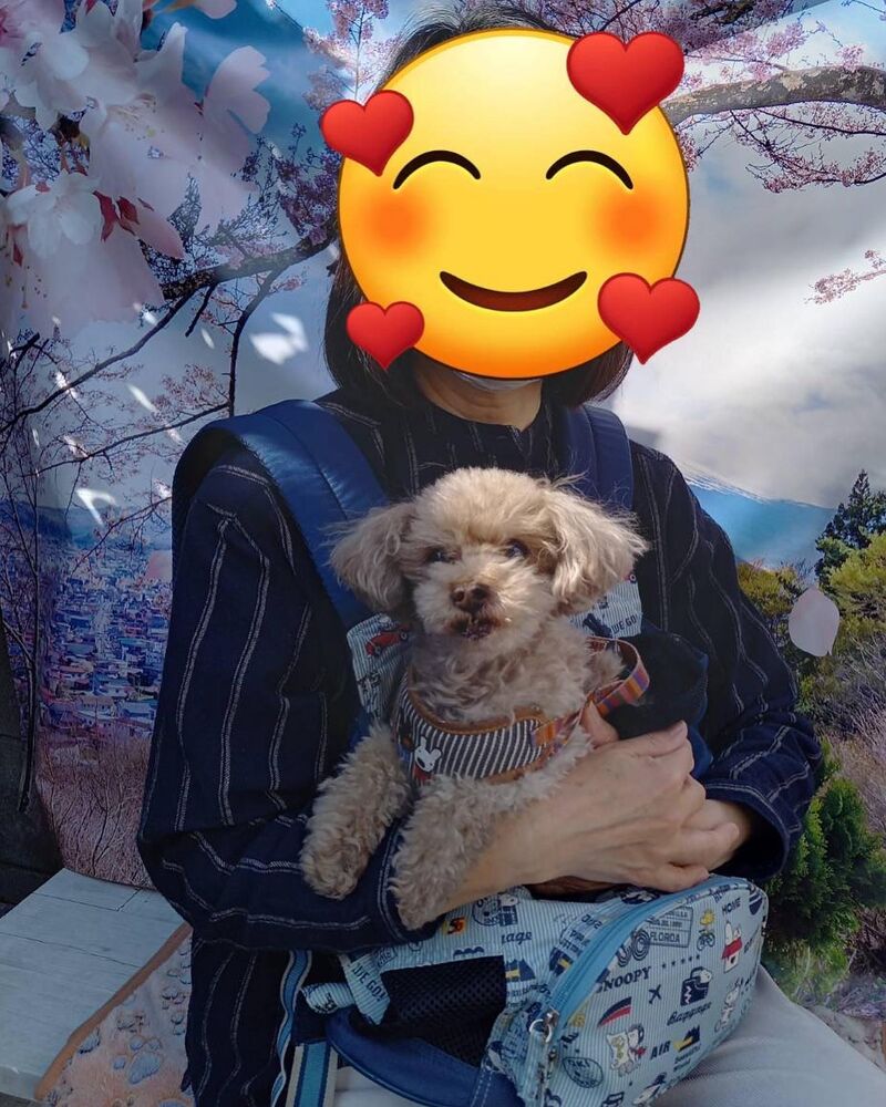 画像11129