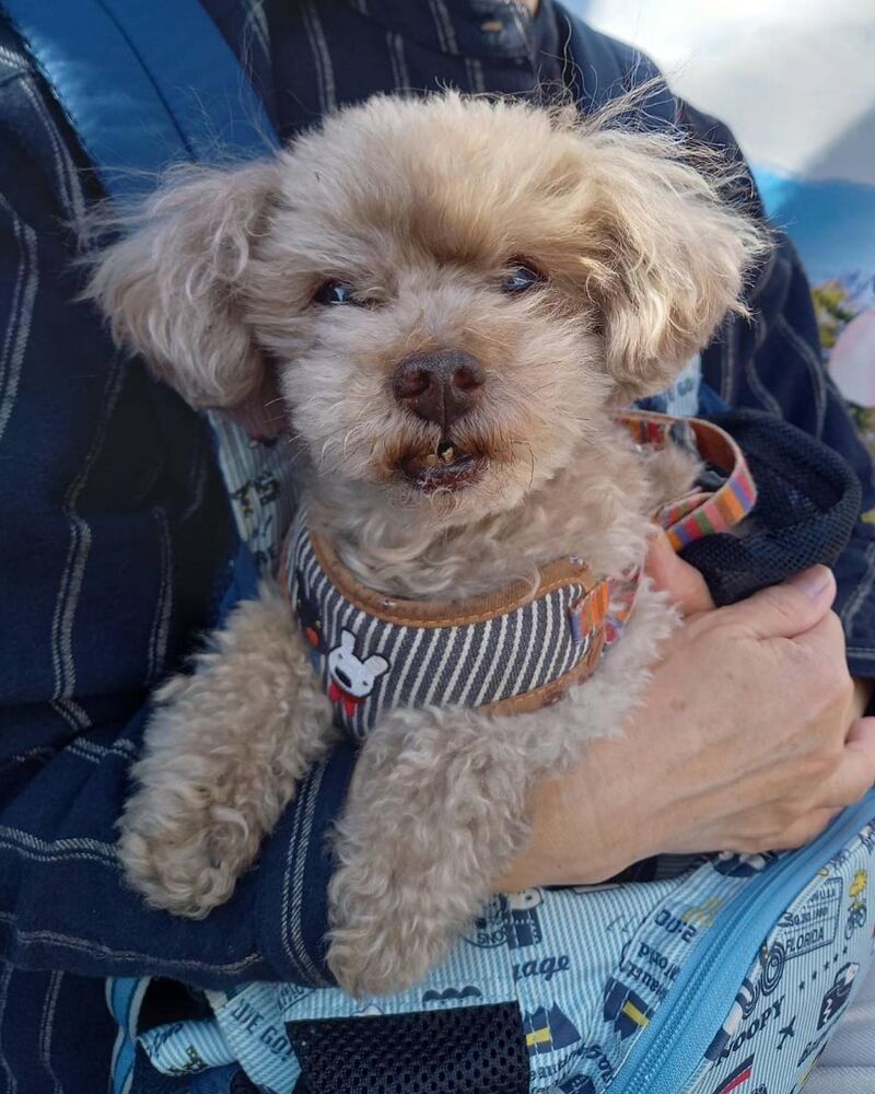 画像11130