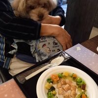 画像11133