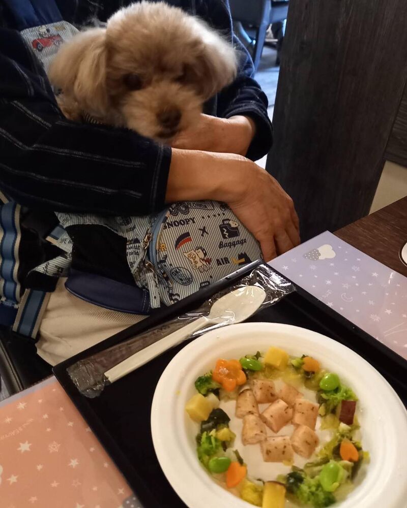 画像11133