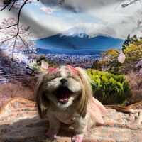 画像11152