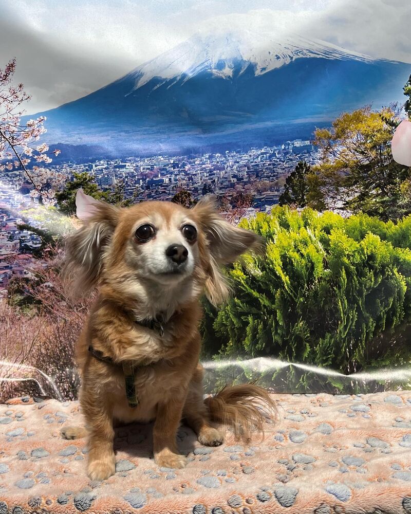 画像11168