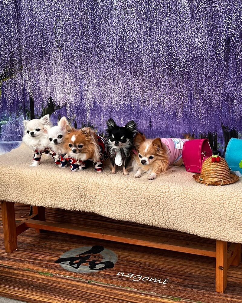 画像11176