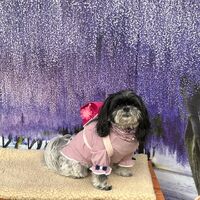 画像11201