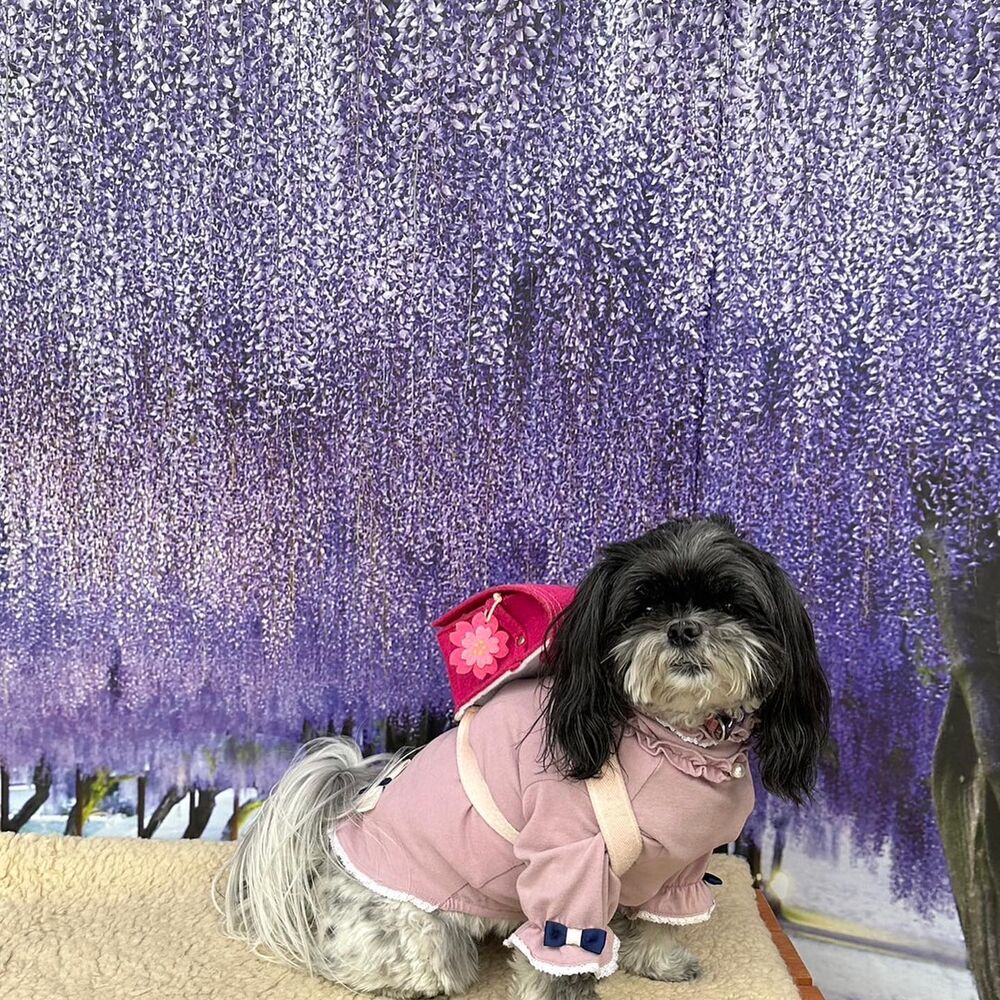 画像11202