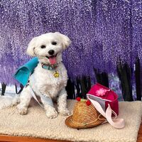 画像11210