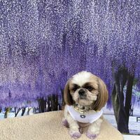 画像11220