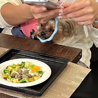 画像11232