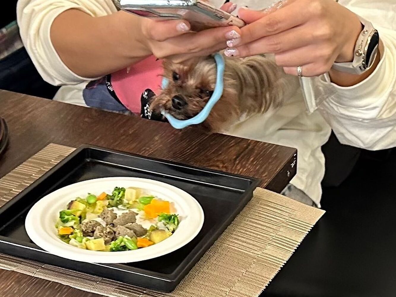 画像11232