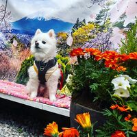 画像11235